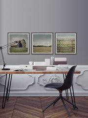 Barn Field Triptych
