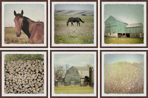 Barn and Horses II Hexaptych