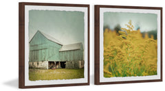 Barn Bloom Diptych