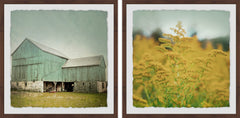 Barn Bloom Diptych