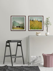 Barn Bloom Diptych