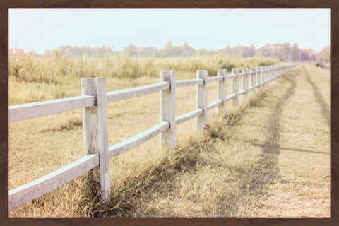 Endless Field