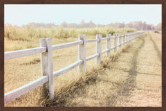 Endless Field