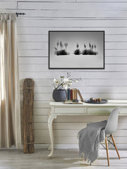 Dune Botanicals