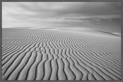 Follow the Lines