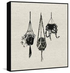 Plants in the Air