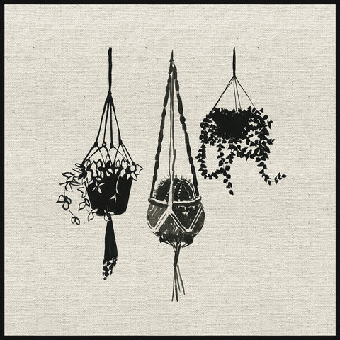 Plants in the Air