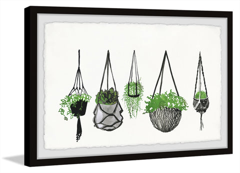 Hanging Plants III