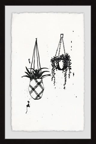 Hanging Plants
