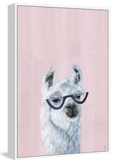 Studious Llama