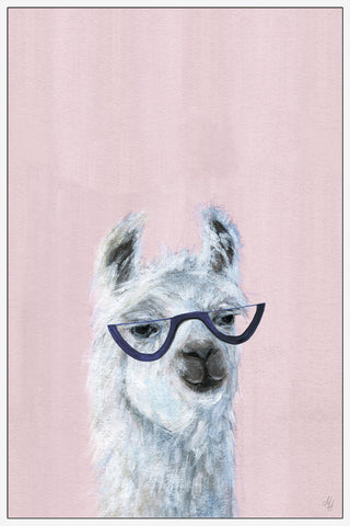 Studious Llama