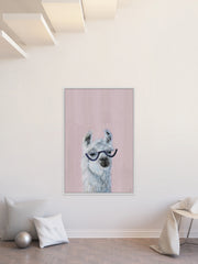 Studious Llama