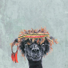 Hippie Llama