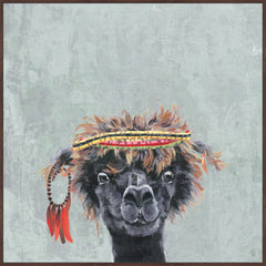 Hippie Llama