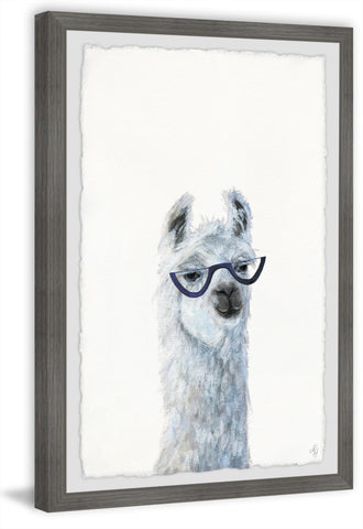 Posh Llama