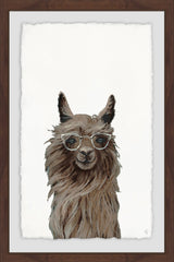 Shaggy Llama