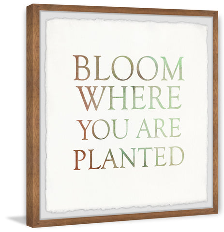 Bloom Where You Are Planted II