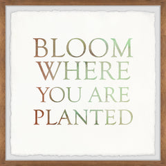 Bloom Where You Are Planted II