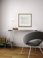 Bloom Where You Are Planted II
