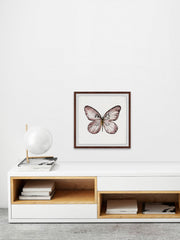 Black and White Wings