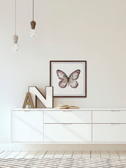 Black and White Wings