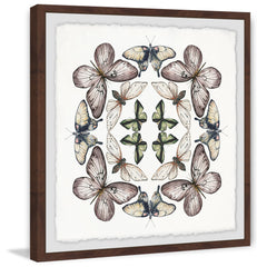 Concentric Butterflies