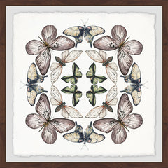 Concentric Butterflies