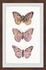 Pink Butterfly Trio