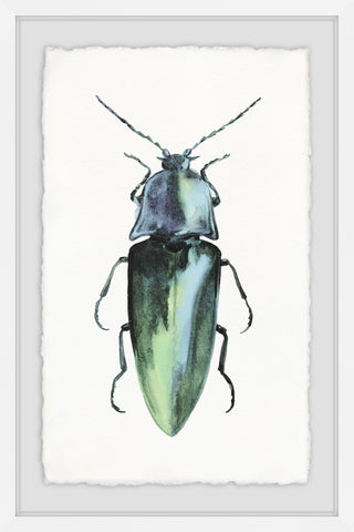 Pointy Green Bug