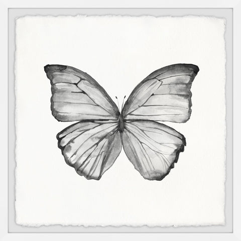 Butterflies – Marmont Hill