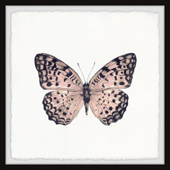 Pink and Black Butterfly