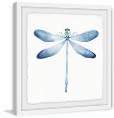 Pastel Blue Dragonfly