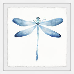 Pastel Blue Dragonfly