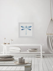 Pastel Blue Dragonfly