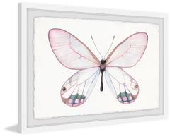 Pale Pink Butterfly