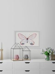 Pale Pink Butterfly