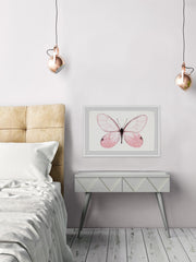 Pink Butterfly Beauty