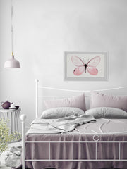 Pink Butterfly Beauty