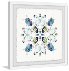 Beetles and Butterflies