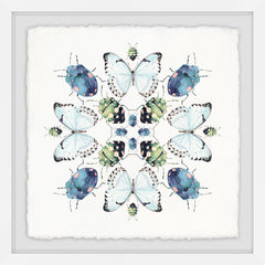 Beetles and Butterflies