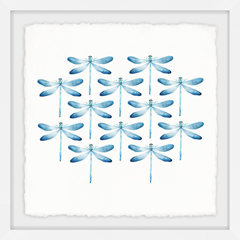 Blue Dragonfly Rows II