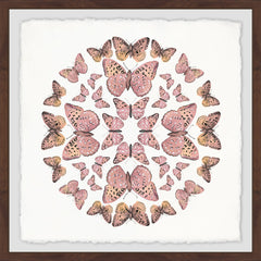 Pink Butterfly Circles