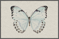 Translucent Blue Wings II