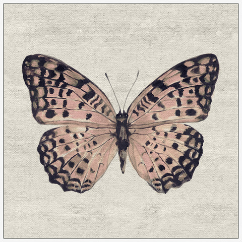 Pink and Black Butterfly II