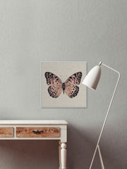 Pink and Black Butterfly II