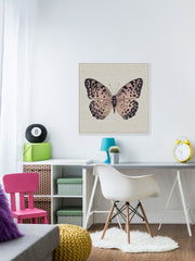 Pink and Black Butterfly II