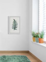 Green Fern