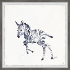 Running Zebra