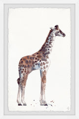 Standing Tall Giraffe