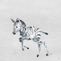 Running Zebra II